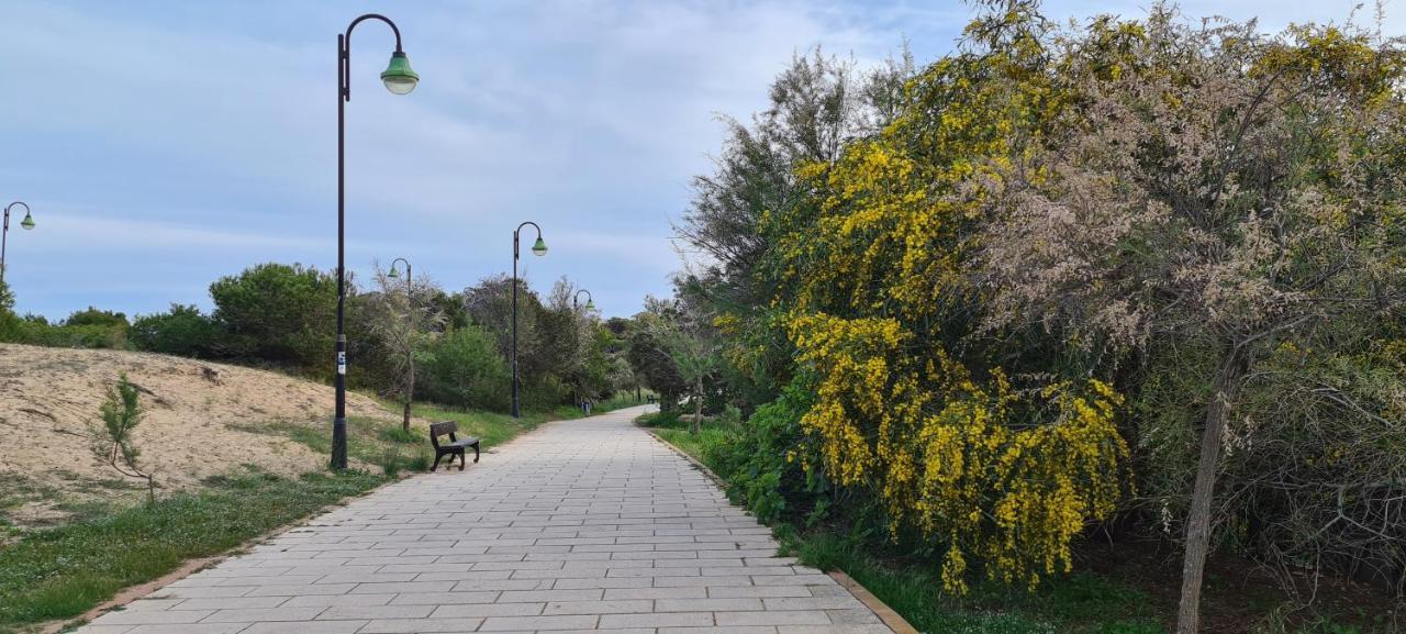 Апартаменты Sofia La Mata Ла-Мата Экстерьер фото